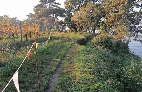 Klif v Krajinskem parku Debeli rtič se močno kruši, zato tamkajšnji 
naravovarstveniki odsvetujejo hojo po robu. 