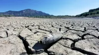 Vremenski pojav El Nino naj bi bil glavni krivec za sušo v 
Braziliji.