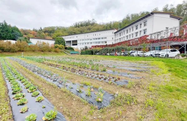 Na Biotehniški šoli Šempeter  je šolsko  posestvo najpomembnejša  
učilnica. 