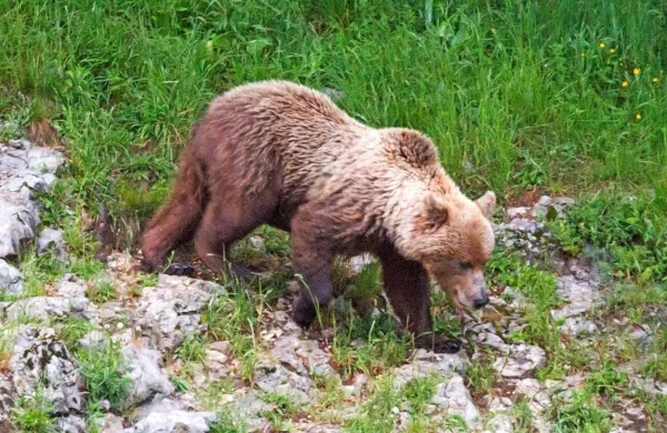 Fotografija je simbolična.