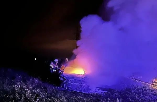 V vinogradu gorel avto