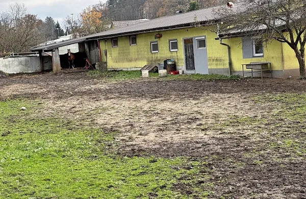Spravili so se tudi na konje s kmetije Bimar.