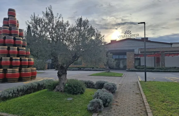 Večina malih družbenikov Vinakopra naj bi se odločila za prodajo svojih deležev. 
