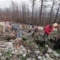 Na Krasu danes in jutri prostovoljci iz vse Slovenije na akciji pogozdovanja (FOTO)