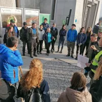 Na Krasu danes in jutri prostovoljci iz vse Slovenije na akciji pogozdovanja (FOTO)