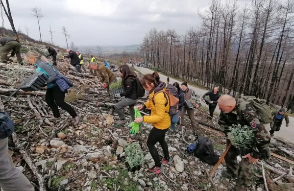  Prostovoljci od vsepovsod so včeraj pogozdovali na pobočju nad Renčami. 