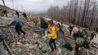  Prostovoljci od vsepovsod so včeraj pogozdovali na pobočju nad Renčami. 