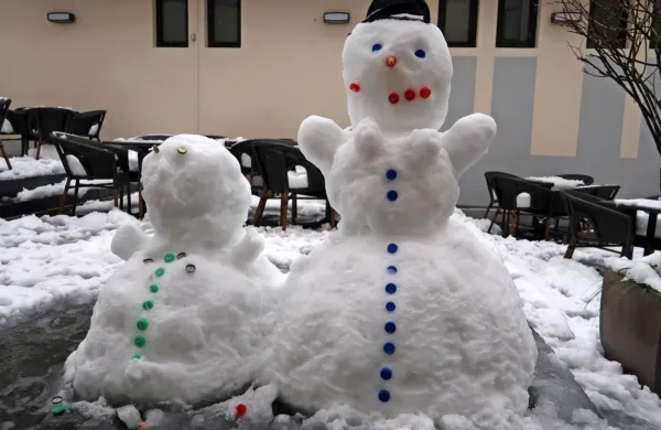 V večjem delu države, tudi na Primorskem, sneg do nižin, ponekod povzročil nekaj preglavic