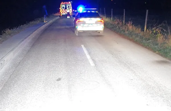 Pešec je  po  trčenju  neznanega  vozila    zaradi  hudih  poškodb  umrl.  