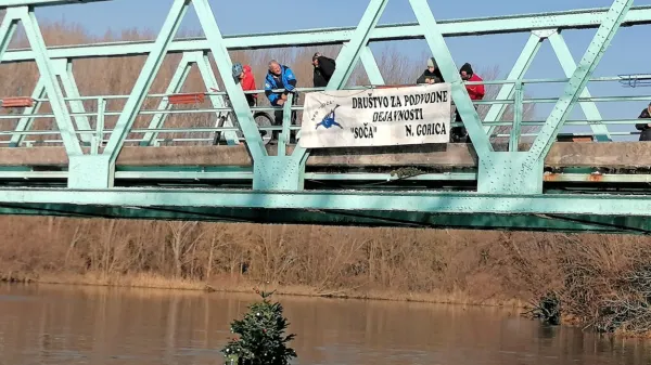 Renče: pod starim mostom tudi letos visi jelka, ki je okrasje dobila v vodi