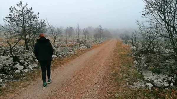      V prihodnjih dneh bodo sprehodi v naravi bolj prijetni, več bo 
sonca, bo pa hladneje.  