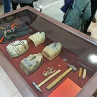 Vrbi&scaron;ke &scaron;jme so se vrnile domov (FOTO)