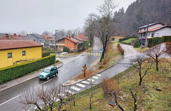 Občina: &ldquo;Poseka v Brunovem drevoredu ne bo&rdquo;