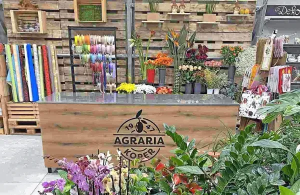 Prenova Agrariine cvetličarne v Izoli je trajala 20 dni.