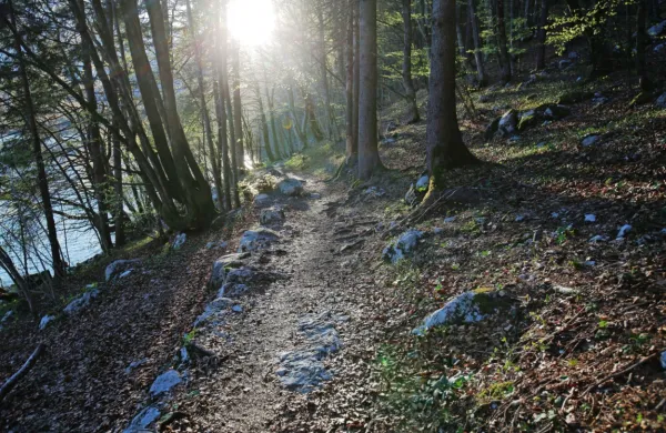 Fotografija je arhivska.