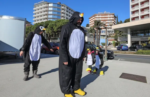 Leta 2021 so se po Portorožu sprehajali pingvini.