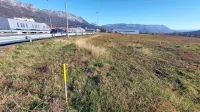 Še letos naj bi podjetje Boscarol začelo z gradnjo velikega 
poslovno-industrijskega objekta v novi obrtni coni med obvoznico 
in avtocesto.