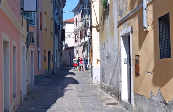 Na javni dražbi bo naprodaj trisobno stanovanje v Smrekarjevi 
ulici v starem mestnem jedru.