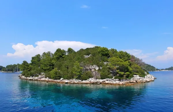Mljet