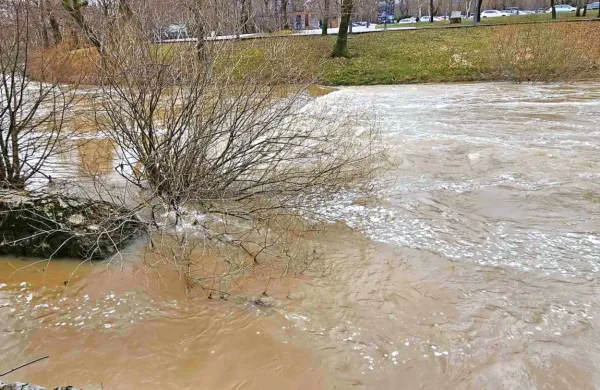 Voda z gnojevko dosegla Postojnsko jamo, a so padavine razredčile onesnaženost (FOTO)