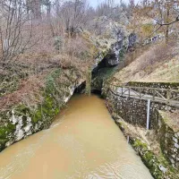 Voda z gnojevko dosegla Postojnsko jamo, a so padavine razredčile onesnaženost (FOTO)