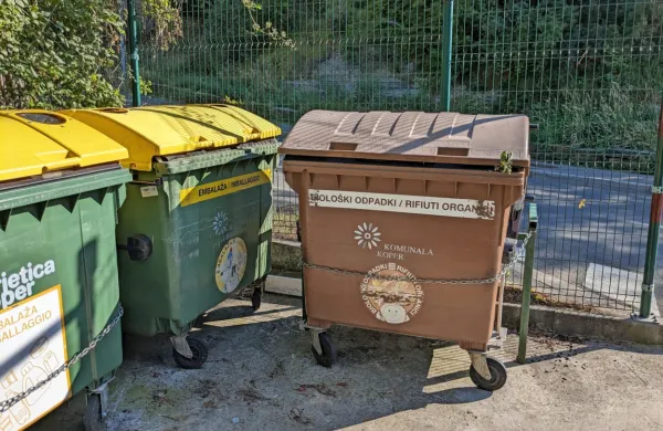 Moški je  kadaver  pitbulke  vrgel  v  zabojnik  za  biološke  odpadke. 