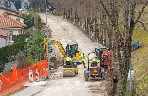 Ob prenovi Brunovega drevoreda drevesa na spodnji strani ceste 
niso zdržala, nadomestili jih bodo z novimi.  