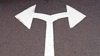 Kako bi živeli, če ne bi imeli dejavne civilne družbe?