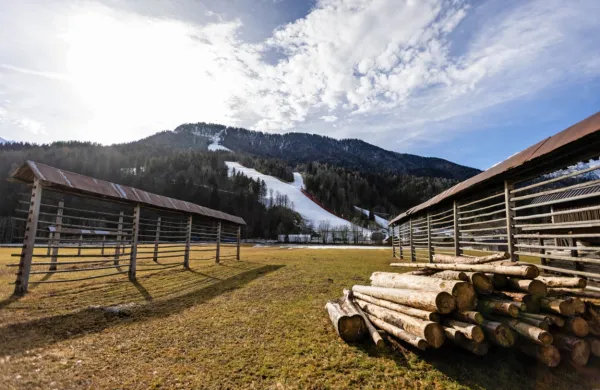 V Kranjski Gori te dni ni dovolj snega, da bi ustrezno pripravili 
progo za veleslalom, pa tudi pretoplo je.