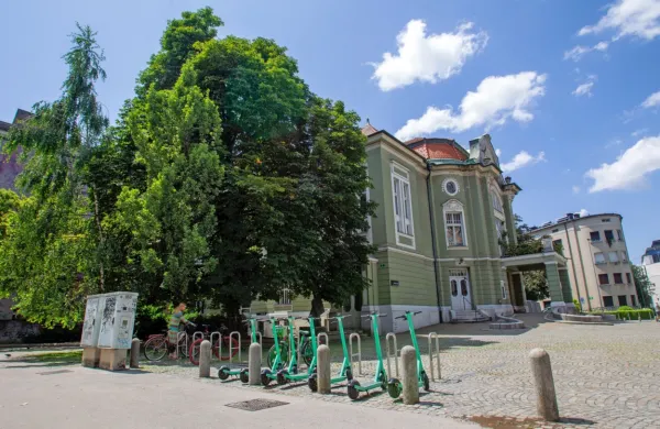 Žal v javnih zavodih po besedah ministrice ni kapacitet, ki bi Drami 
lahko nudile nemoteno izvedbo programa.