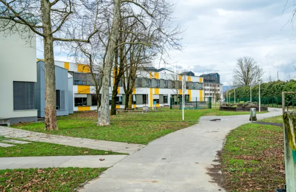 V sindikatu Fides so odločili, da bodo zdravniki na URI Soča kljub 
stavki začeli opravljati zdravniške preglede za potrebe vseh 
voznikov s posebnimi potrebami. 