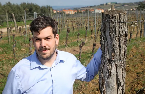 Oljkarstvo in vinogradništvo sta paradna konja istrskega kmetijstva, poudarja Karlo Kopjar.