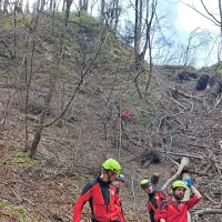 Tragična delovna nesreča na Tolminskem: med sečnjo umrl 64-letni mo&scaron;ki (FOTO)