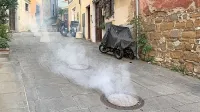 Ena od učinkovitih metod za zatiranje ščurkov je plinjenje jaškov  
javnega kanalizacijskega omrežja.