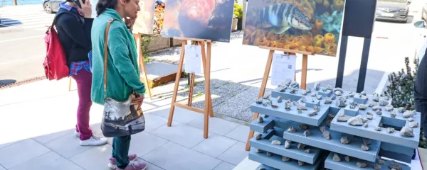 Morju je treba tudi kaj vrniti
