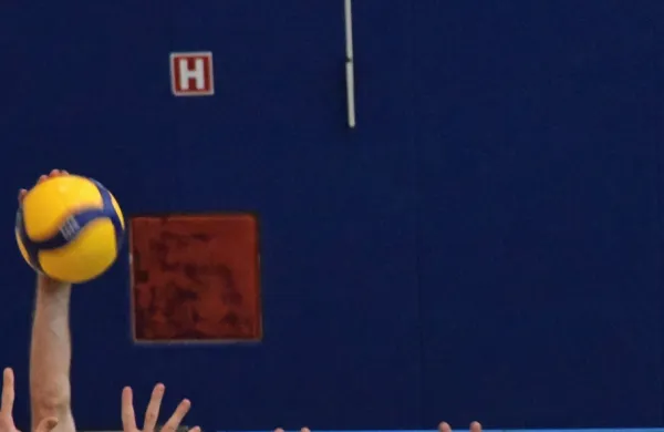 Odbojkarji Calcita Volleyja petič pokalni zmagovalci