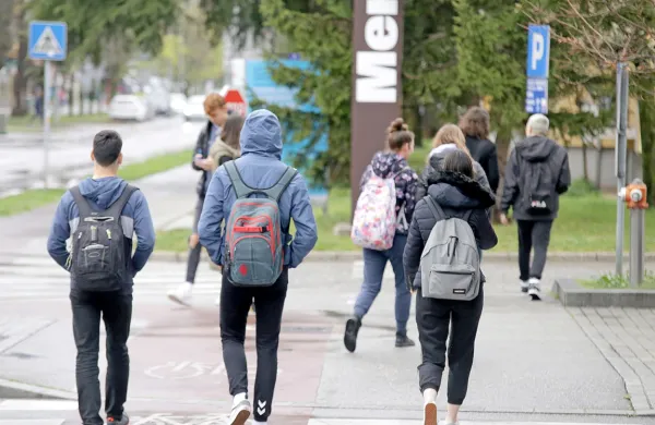 Mladi v Sloveniji imajo jasne predstave o tem, kakšna je Evropa, v 
kateri bi radi živeli, saj jih marsikaj moti, vendar pa pogosto 
menijo, da sami ne morejo vplivati na to, kaj šele kaj spremeniti.
