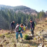 Na Prevali prostovoljci danes posadili 2000 mladih smrek (FOTO)