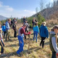 Na Prevali prostovoljci danes posadili 2000 mladih smrek (FOTO)