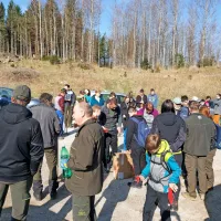 Na Prevali prostovoljci danes posadili 2000 mladih smrek (FOTO)