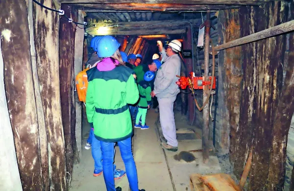 

Po prenehanju rudarjenja v idrijskem rudniku, ki je bil drugi 
največji rudnik živega srebra na svetu, so rov leta 1994 uredili za 
turistične oglede.