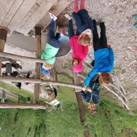 (FOTO) Zaokrožili so Festival so&scaron;ke postrvi