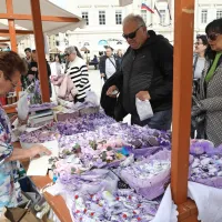 S solinarskim praznikom se začenja solinarska sezona (FOTO)