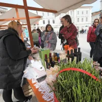 S solinarskim praznikom se začenja solinarska sezona (FOTO)