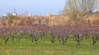 Letošnji april so zaznamovala velika nihanja v temperaturi, ki so veliko preglavic povzročila tudi kmetovalcem. 
