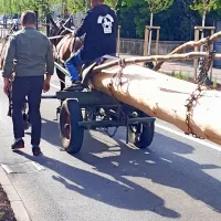 Lepotica iz Hru&scaron;ice krasi Ajdov&scaron;čino (FOTO)