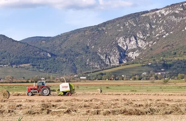 Bližajo se spomladanska košnja ter druga opravila na poljih in 
travnikih.