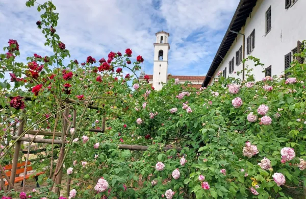 Festival vrtnic vabi v mesto