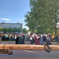 V Novi Gorici so pričakali Gori&scaron;ki mlaj 2024 (FOTO)
