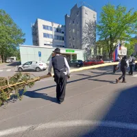 V Novi Gorici so pričakali Gori&scaron;ki mlaj 2024 (FOTO)